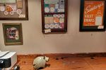 Sale Photo Thumbnail #20