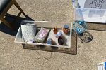 Sale Photo Thumbnail #14
