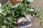 Sale Photo Thumbnail #23