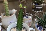 Sale Photo Thumbnail #24