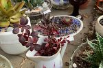 Sale Photo Thumbnail #16