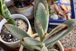 Sale Photo Thumbnail #22
