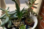Sale Photo Thumbnail #21
