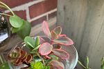 Sale Photo Thumbnail #15