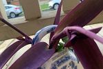 Sale Photo Thumbnail #19