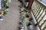 Sale Photo Thumbnail #25