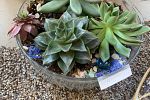 Sale Photo Thumbnail #26