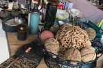 Sale Photo Thumbnail #10