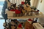 Sale Photo Thumbnail #24