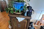 Sale Photo Thumbnail #21