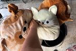 Sale Photo Thumbnail #9