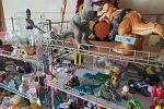 Sale Photo Thumbnail #10