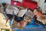 Sale Photo Thumbnail #3