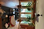 Sale Photo Thumbnail #25