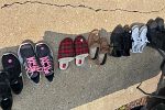 Sale Photo Thumbnail #21