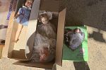 Sale Photo Thumbnail #5