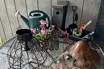 Sale Photo Thumbnail #22
