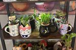 Sale Photo Thumbnail #2