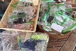 Sale Photo Thumbnail #25