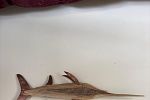 Sale Photo Thumbnail #5