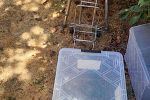 Sale Photo Thumbnail #149