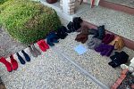 Sale Photo Thumbnail #5