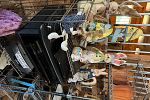 Sale Photo Thumbnail #19