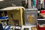Sale Photo Thumbnail #4