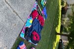 Sale Photo Thumbnail #13