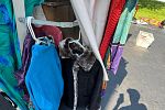 Sale Photo Thumbnail #28