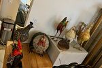Sale Photo Thumbnail #18