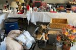 Sale Photo Thumbnail #4