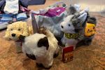 Sale Photo Thumbnail #22