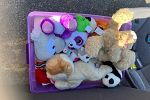Sale Photo Thumbnail #19