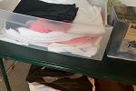 Sale Photo Thumbnail #12