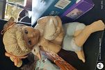 Sale Photo Thumbnail #18
