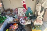 Sale Photo Thumbnail #8