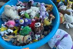Sale Photo Thumbnail #9