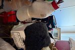 Sale Photo Thumbnail #22