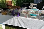 Sale Photo Thumbnail #14