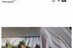 Sale Photo Thumbnail #15