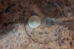 Sale Photo Thumbnail #106