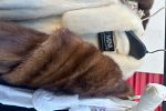 Sale Photo Thumbnail #26