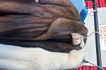Sale Photo Thumbnail #27