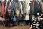 Sale Photo Thumbnail #17