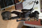 Sale Photo Thumbnail #33