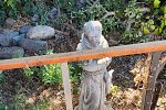 Sale Photo Thumbnail #168