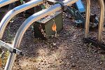 Sale Photo Thumbnail #171