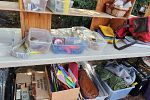 Sale Photo Thumbnail #127
