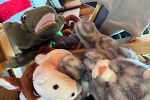 Sale Photo Thumbnail #2